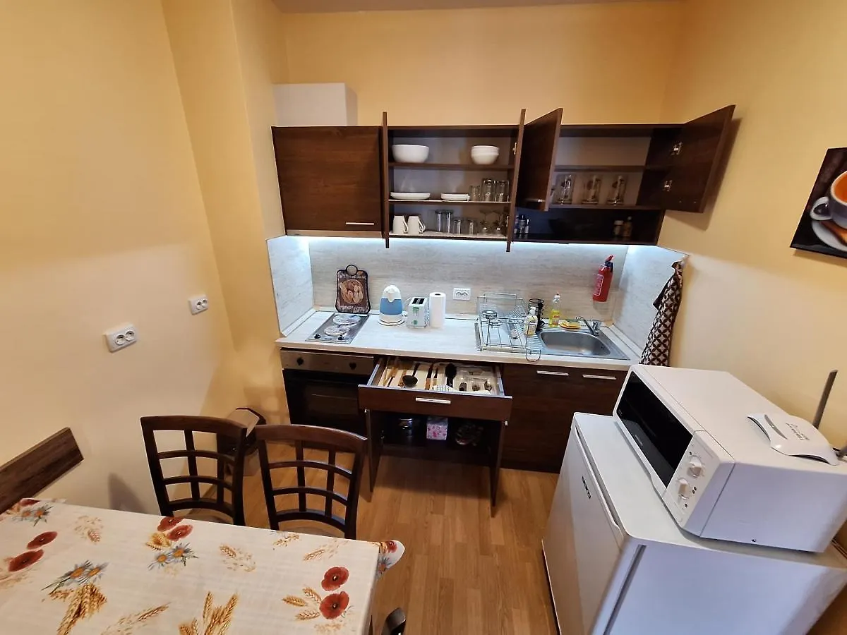 Top Location Ski-In Ski-Out Bansko Apartment
